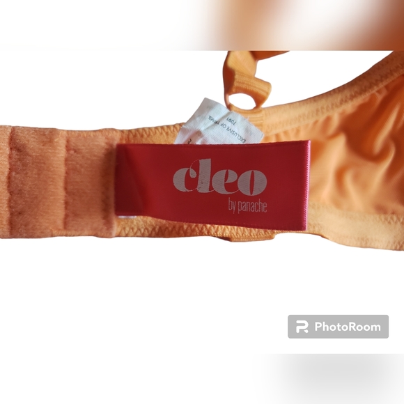 Panache Cleo  Orange Leopard Print U/W Bra EUC 32DDDD/32G - Picture 11 of 11